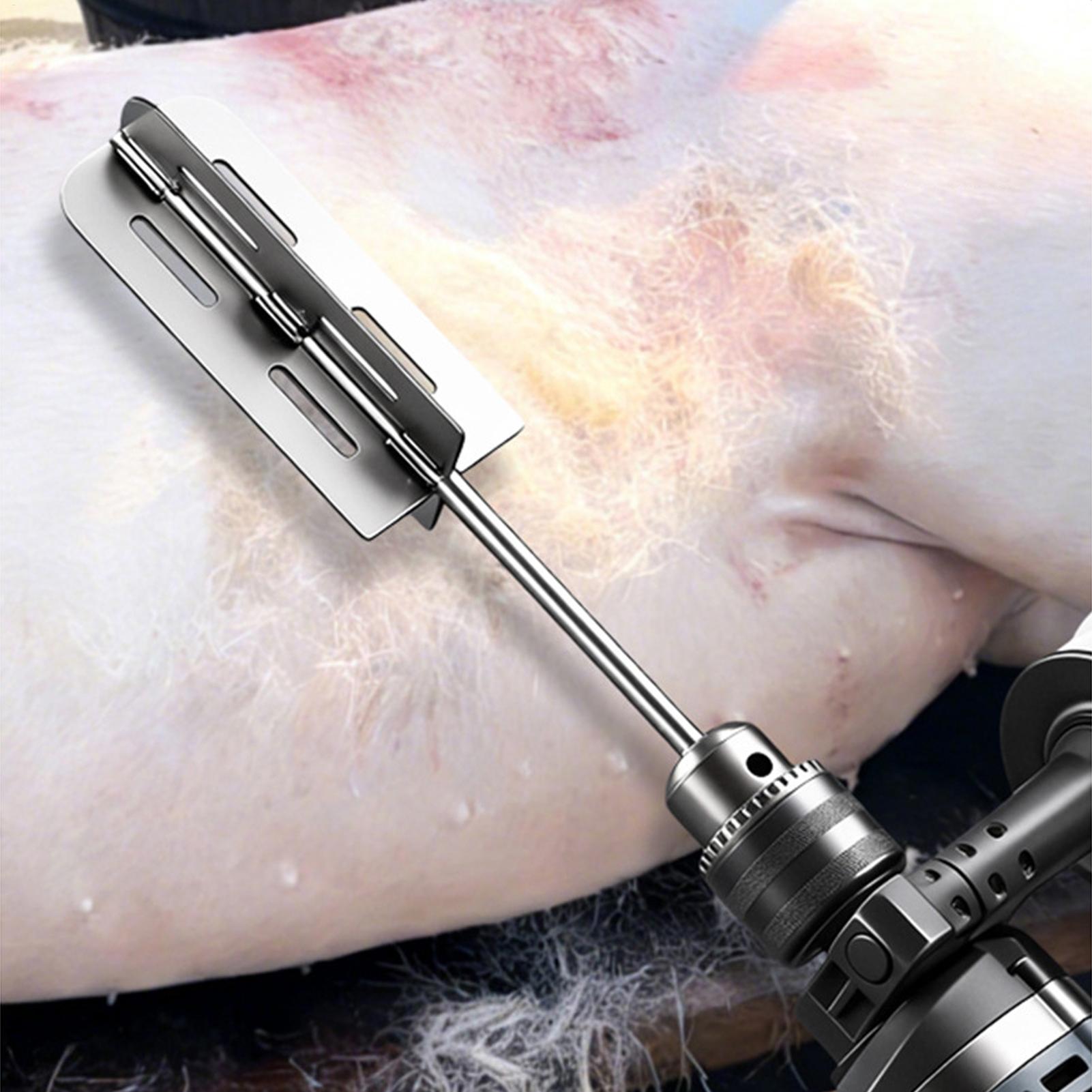 Schweinehaar-Entfernungswerkze – Hair Care Tools Bewertung und Preis